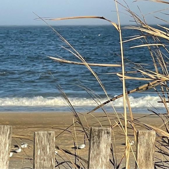 Meet your Posher, Lovada - Picture 11 of 11